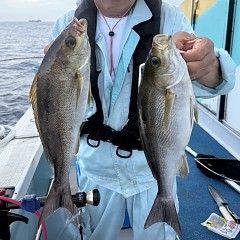 6月 19日(金)午後便・イサキ釣りの写真その5