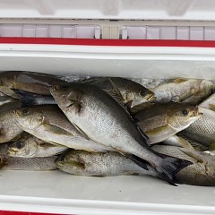 6月 20日(土)午後便・イサキ釣りの写真その11