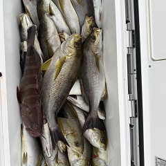 6月 21日(日)午後便・イサキ釣りの写真その6