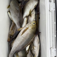 6月 21日(日)午後便・イサキ釣りの写真その9