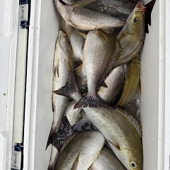 6月 21日(日)午後便・イサキ釣りの写真その12