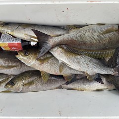 6月 23日（火）午前便・イサキ釣りの写真その7