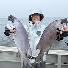 6月28日（日）午前便・イシダイ釣りの写真その2