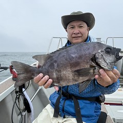 6月28日（日）午前便・イシダイ釣りの写真その6