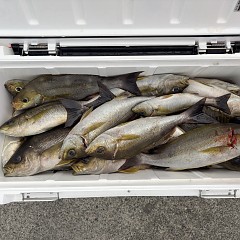 6月28日（日）午後便・イサキ釣りの写真その4