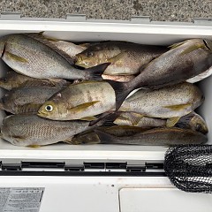 6月28日（日）午後便・イサキ釣りの写真その5