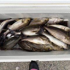 6月28日（日）午後便・イサキ釣りの写真その7