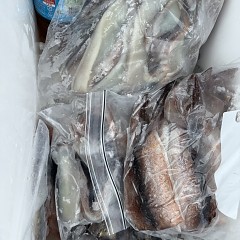 6月 30日（火）一日便・スルメイカ釣りの写真その12