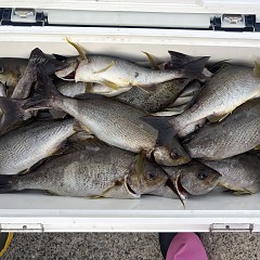 6月30日（火）午後便・イサキ釣りの写真その5