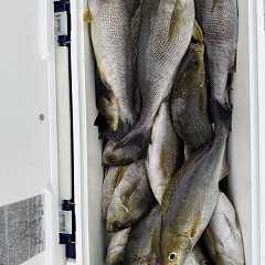 7月2日（木）午後便・イサキ釣りの写真その10