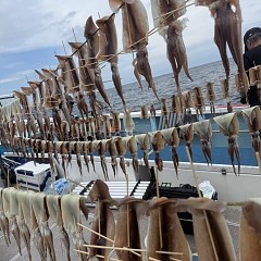7月 3日（金）一日便・スルメイカ釣りの写真その8