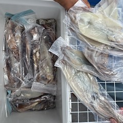 7月 3日（金）一日便・スルメイカ釣りの写真その10