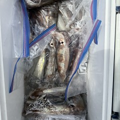 7月 3日（金）一日便・スルメイカ釣りの写真その11