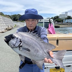 7月3日（金）午前便・イシダイ釣りの写真その3