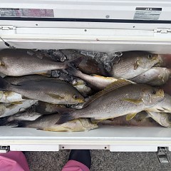 7月3日（金）午後便・イサキ釣りの写真その4
