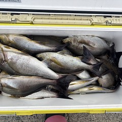 7月3日（金）午後便・イサキ釣りの写真その6