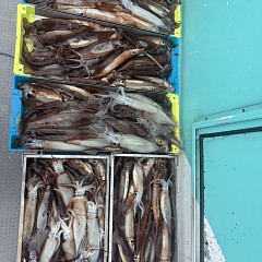 7月 4日（土）一日便・スルメイカ釣りの写真その8
