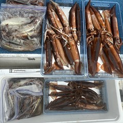 7月 4日（土）一日便・スルメイカ釣りの写真その11