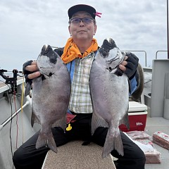7月4日（土）午前便・イシダイ釣りの写真その1