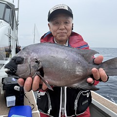 7月4日（土）午前便・イシダイ釣りの写真その3