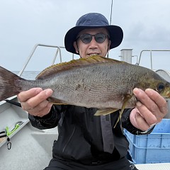 7月4日（土）午後便・イサキ釣りの写真その10