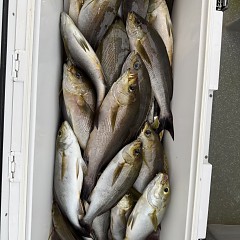 7月4日（土）午後便・イサキ釣りの写真その12