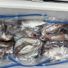 7月 5日（日）一日便・スルメイカ釣りの写真その7