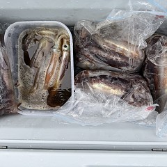 7月 5日（日）一日便・スルメイカ釣りの写真その8
