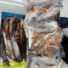 7月 5日（日）一日便・スルメイカ釣りの写真その9