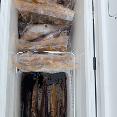 7月 5日（日）一日便・スルメイカ釣りの写真その11