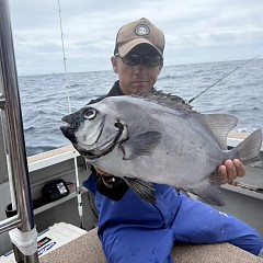 7月5日（日）午前便・イシダイ釣りの写真その6