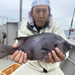7月5日（日）午前便・イシダイ釣りの写真その8
