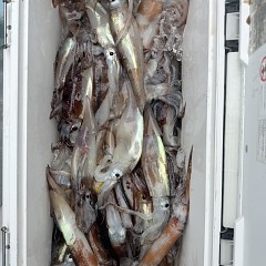 7月 6日（月）一日便・スルメイカ釣りの写真その7