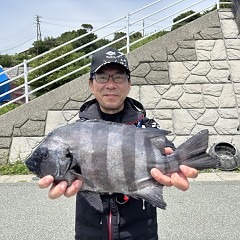 7月7日（火）午前便・イシダイ釣りの写真その3