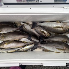 7月5日（日）午後便・イサキ釣りの写真その5