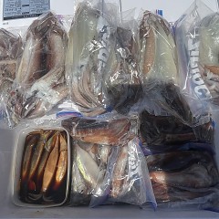 7月 8日(水)一日便・スルメイカ釣りの写真その7
