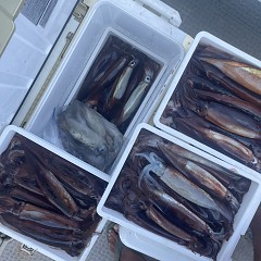 7月 8日(水)一日便・スルメイカ釣りの写真その9