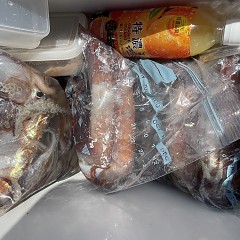 7月 8日(水)一日便・スルメイカ釣りの写真その11
