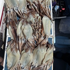 7月 9日(木)一日便・スルメイカ釣りの写真その7