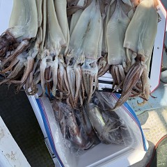 7月 9日(木)一日便・スルメイカ釣りの写真その9
