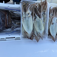 7月 9日(木)一日便・スルメイカ釣りの写真その10