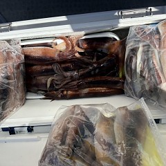 7月 10日（金）一日便・スルメイカ釣りの写真その8