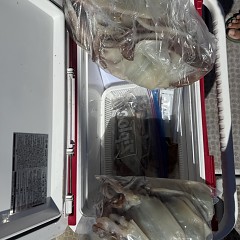 7月 10日（金）一日便・スルメイカ釣りの写真その9