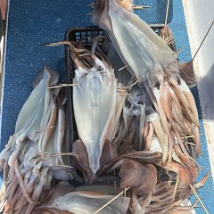 7月 10日（金）一日便・スルメイカ釣りの写真その12