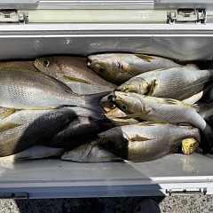 7月10日（金）午前便・午後便・イサキ釣りの写真その4