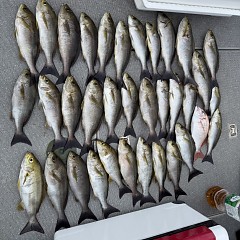 7が11日(土)午前便・午後便・イサキ釣りの写真その11
