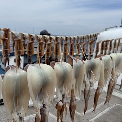 7月 12日（日）一日便スルメイカ釣りの写真その6
