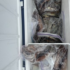 7月 12日（日）一日便スルメイカ釣りの写真その12