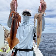 7月 11日（土）一日便スルメイカ釣りの写真その3