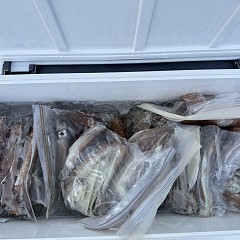 7月 11日（土）一日便スルメイカ釣りの写真その9